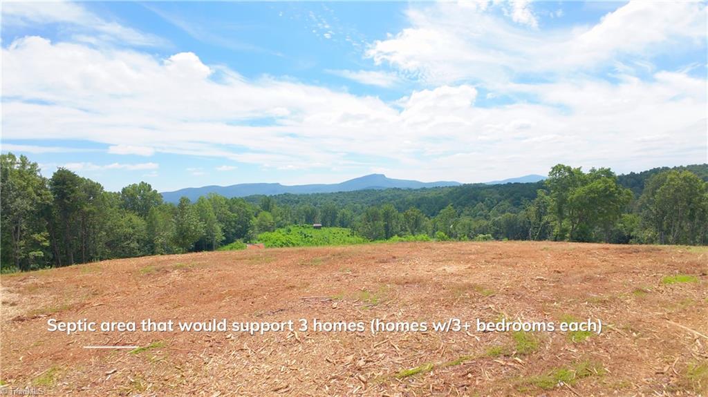0 Ellis Lawson Road Property Photo 1