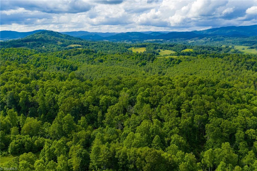 Tbd Phipps Dairy Road Property Photo 3