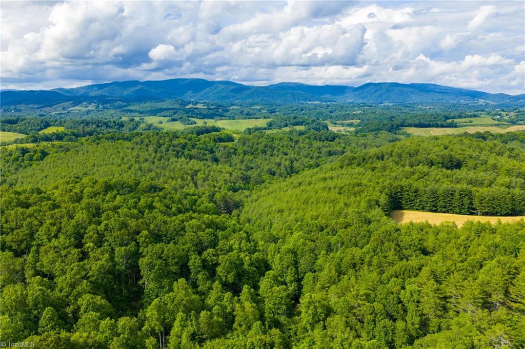 Tbd Phipps Dairy Road Property Photo 11