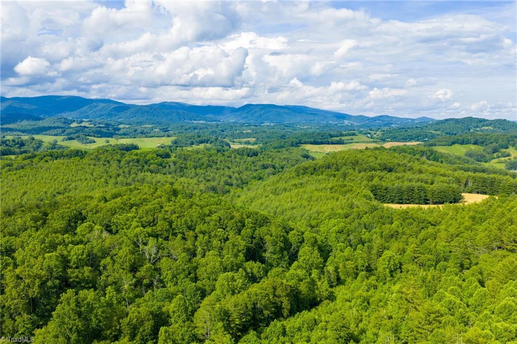 Tbd Phipps Dairy Road Property Photo 13