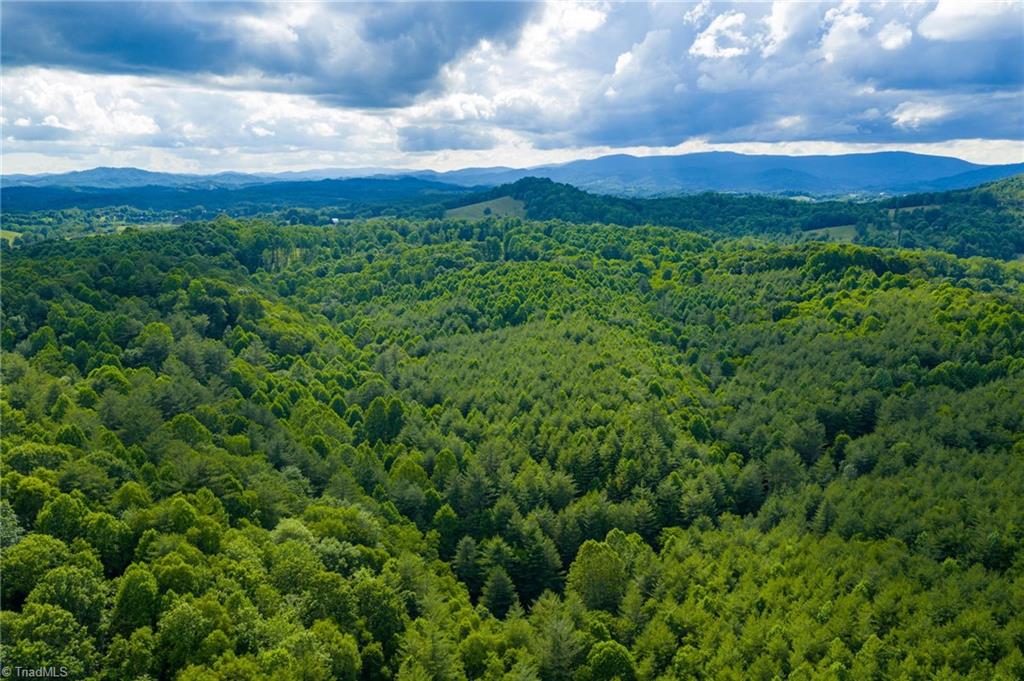 Tbd Phipps Dairy Road Property Photo 16