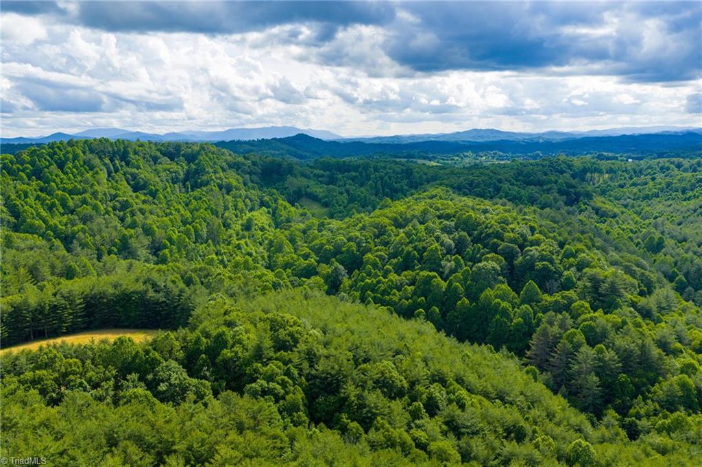 Tbd Phipps Dairy Road Property Photo 18