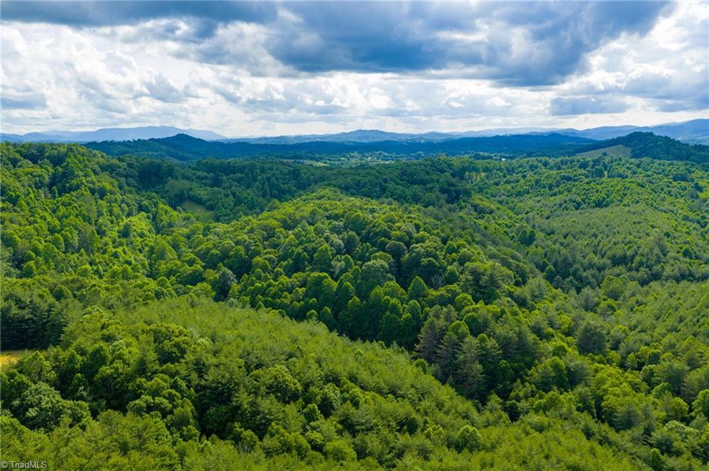 Tbd Phipps Dairy Road Property Photo 22