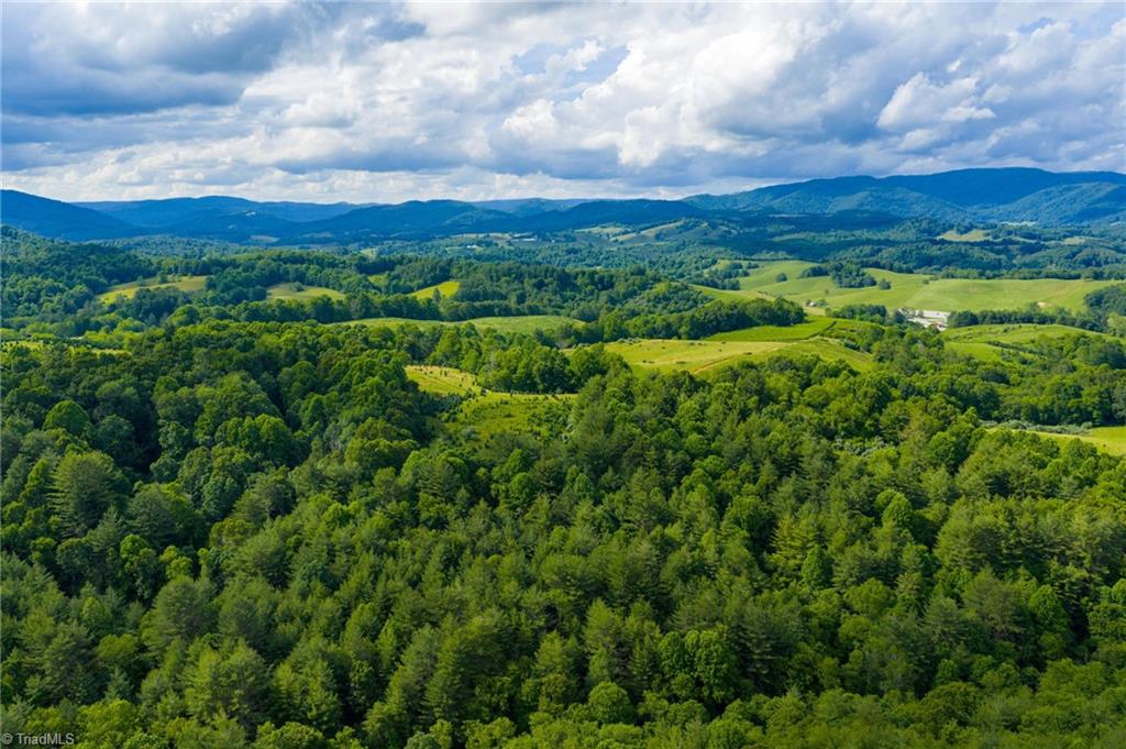 Tbd Phipps Dairy Road Property Photo 23