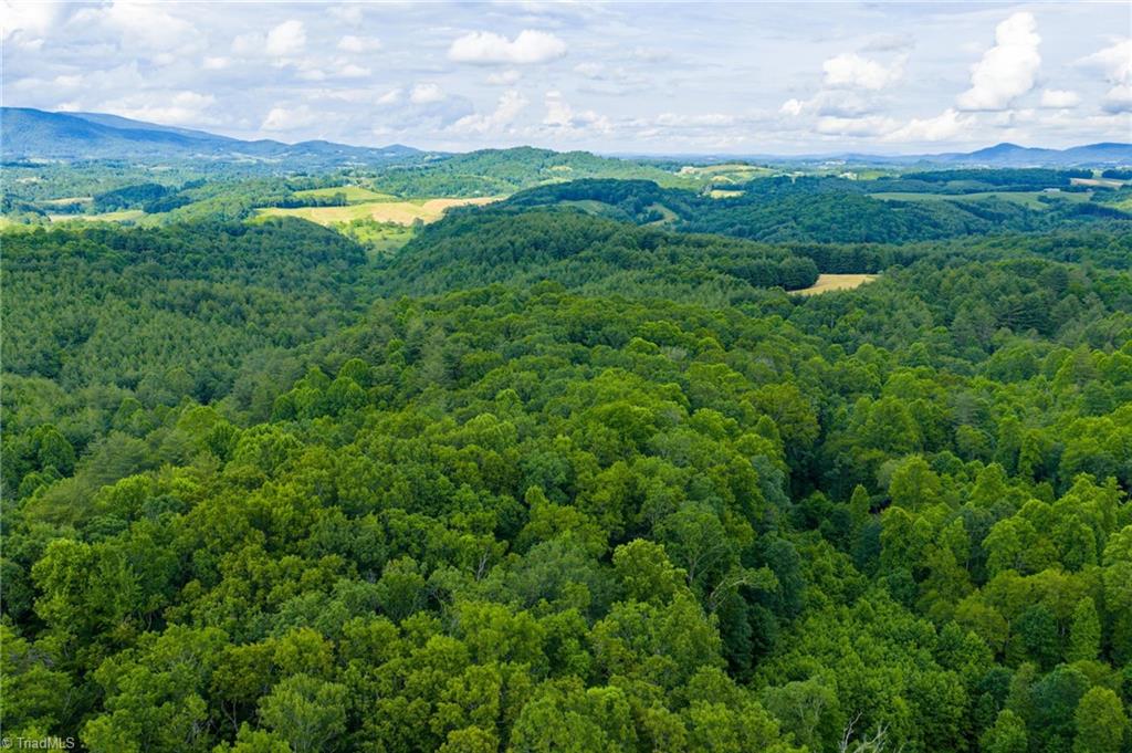 Tbd Phipps Dairy Road Property Photo 26