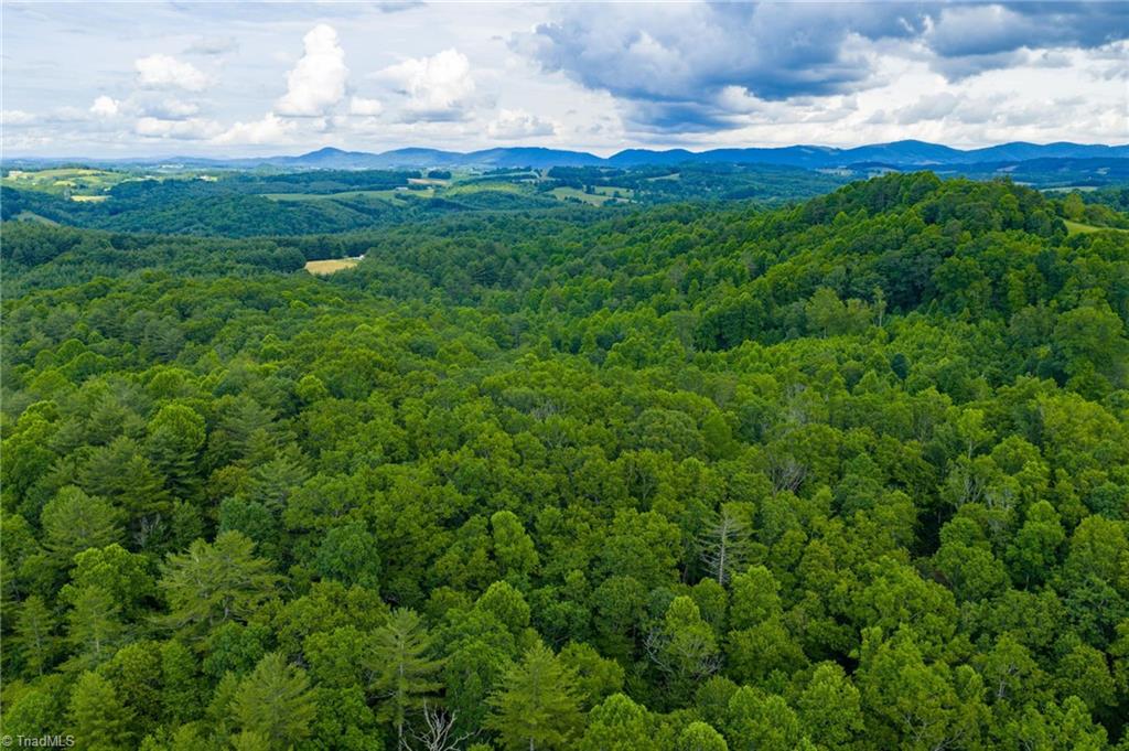 Tbd Phipps Dairy Road Property Photo 27