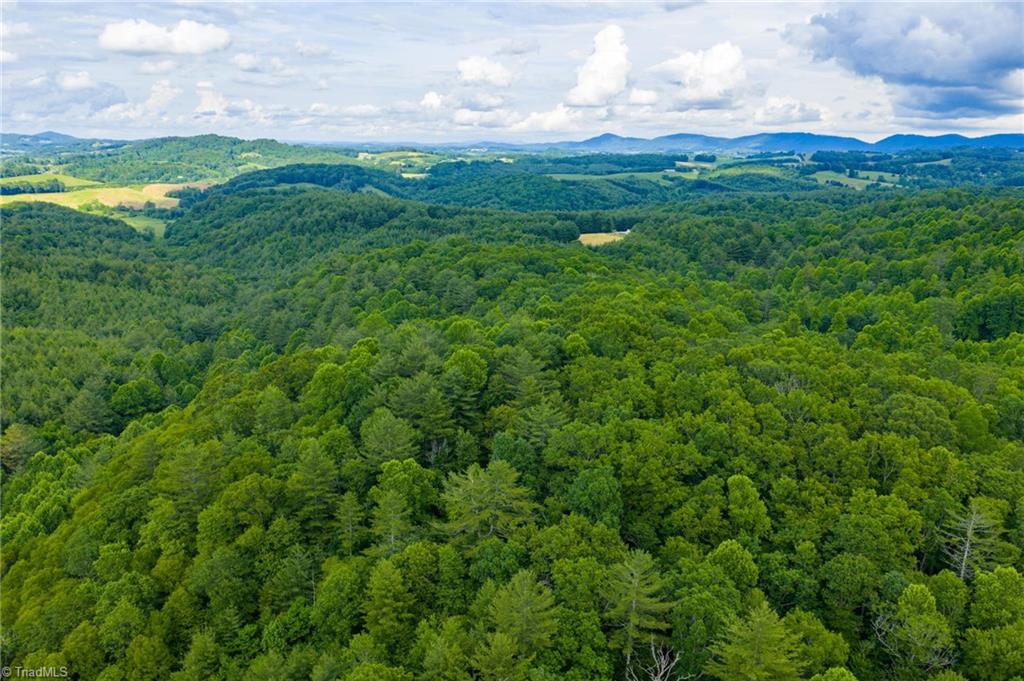 Tbd Phipps Dairy Road Property Photo 28