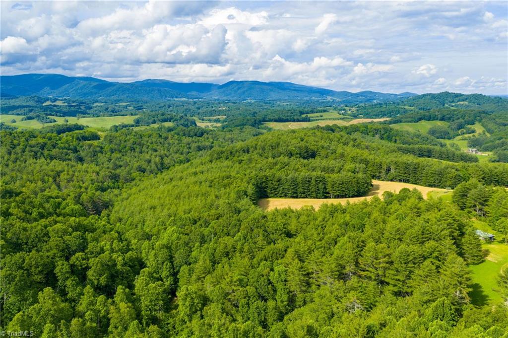 Tbd Phipps Dairy Road Property Photo 31