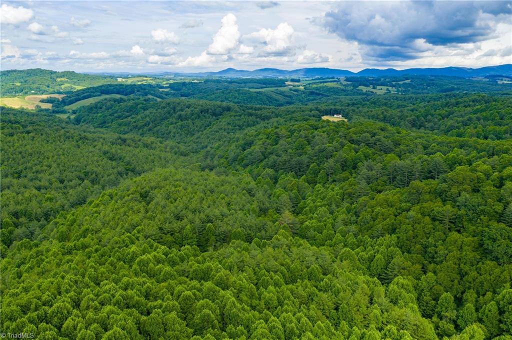 Tbd Phipps Dairy Road Property Photo 33