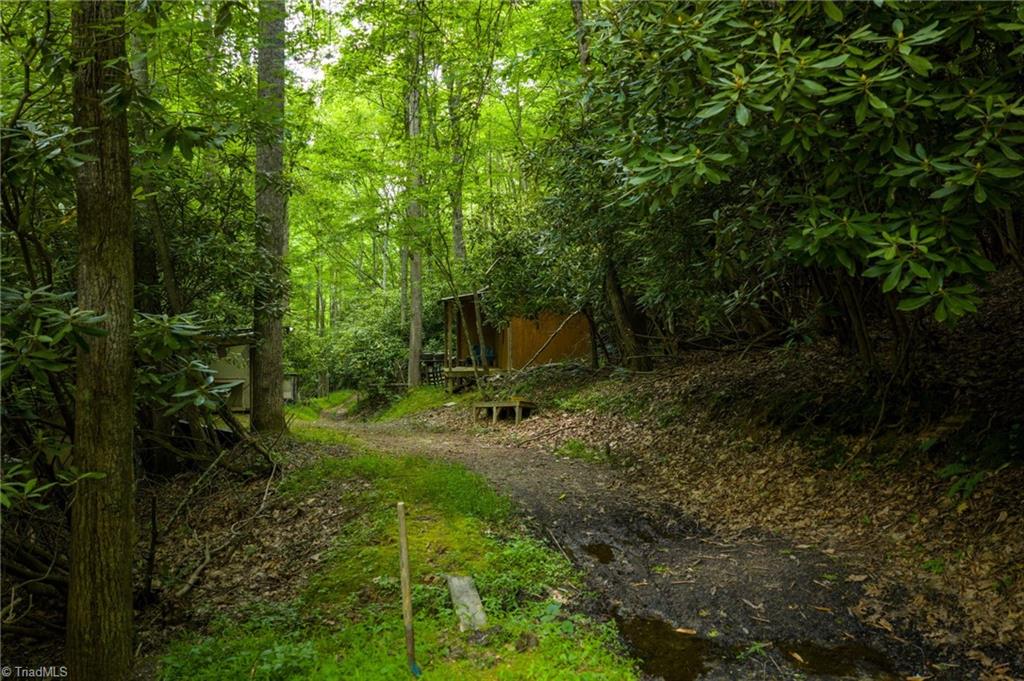 Tbd Phipps Dairy Road Property Photo 34