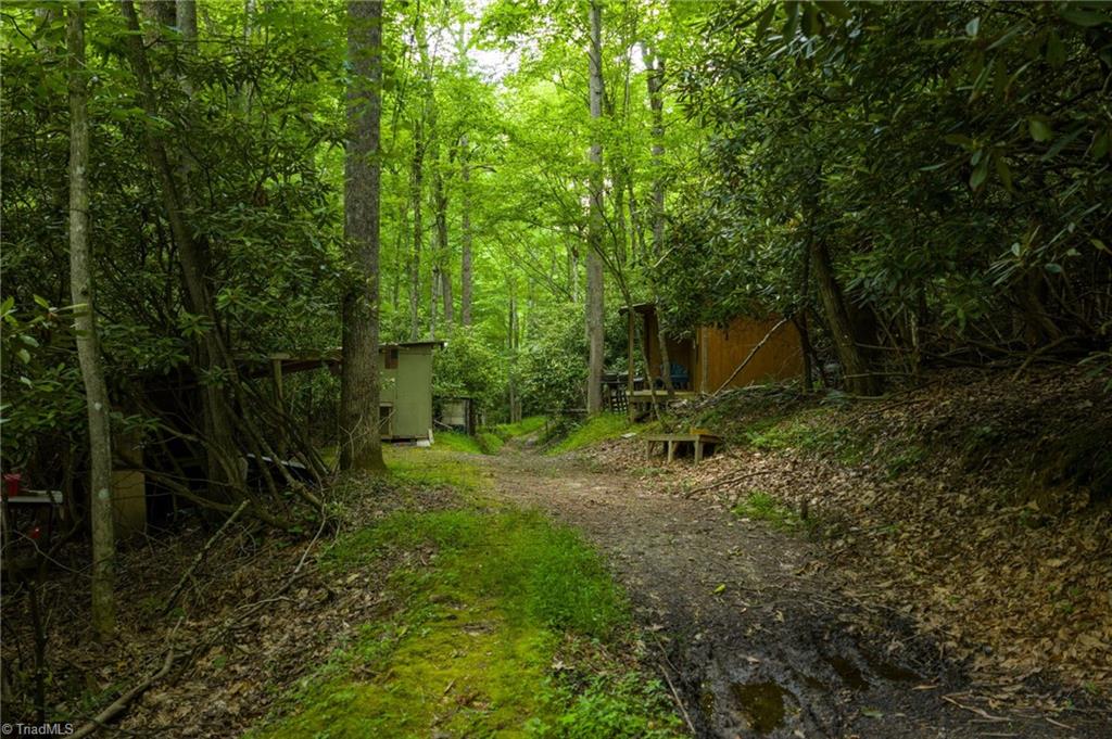 Tbd Phipps Dairy Road Property Photo 35