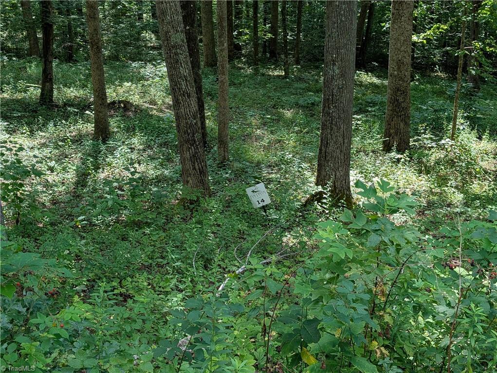 14 Elk Creek Mountain Property Photo 2