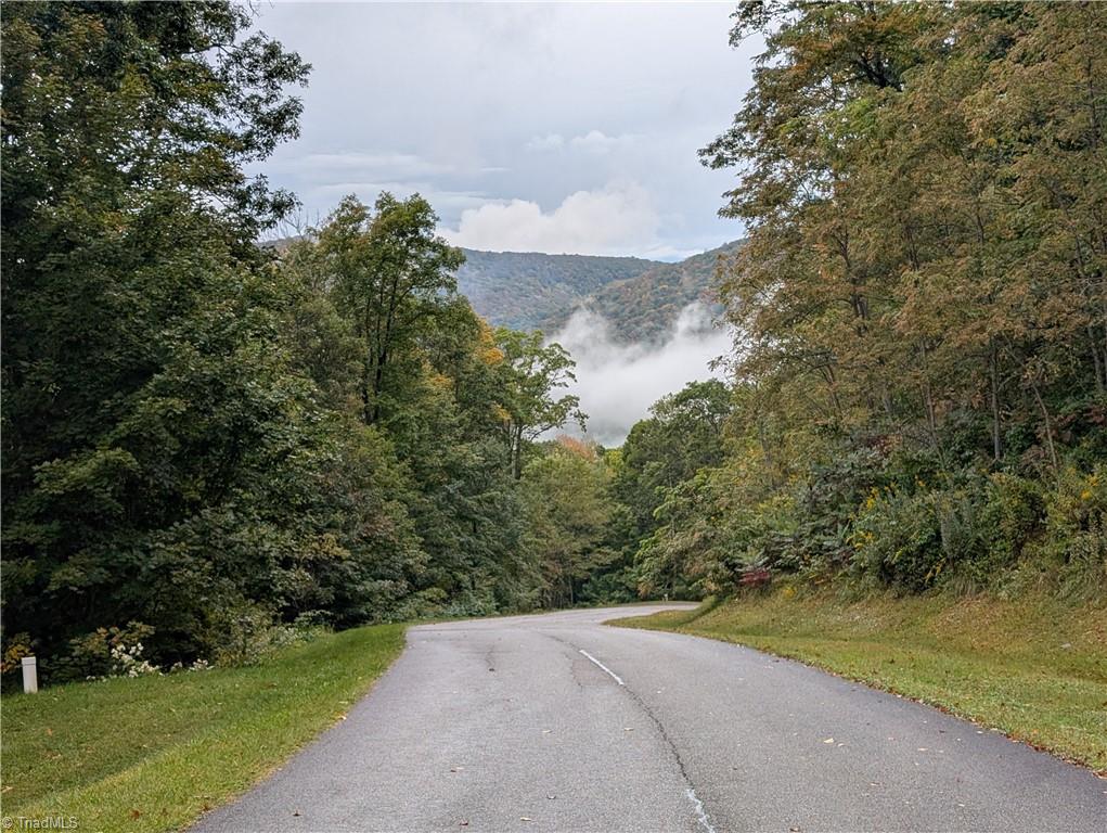 14 Elk Creek Mountain Property Photo 4