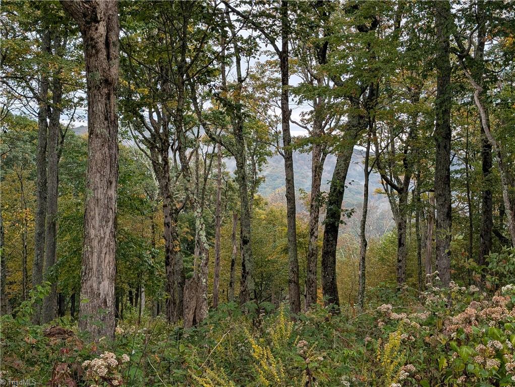 14 Elk Creek Mountain Property Photo 5