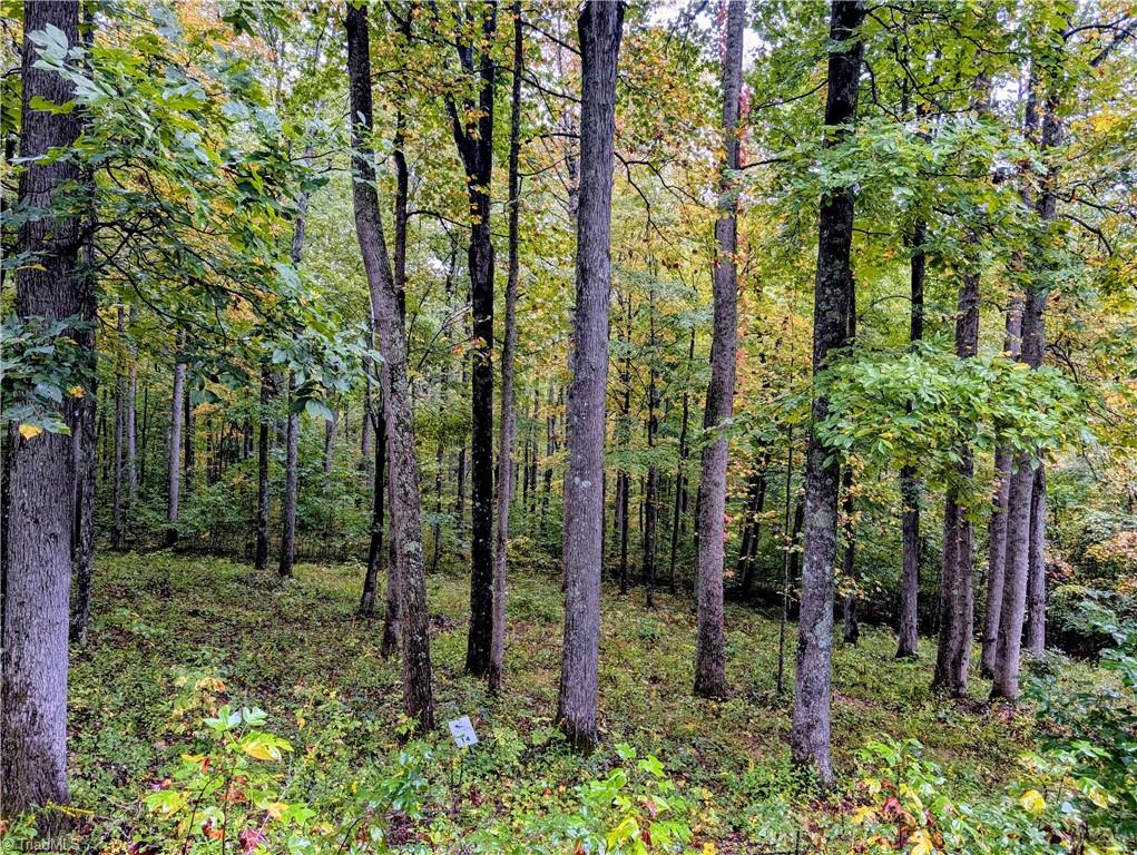 14 Elk Creek Mountain Property Photo 6
