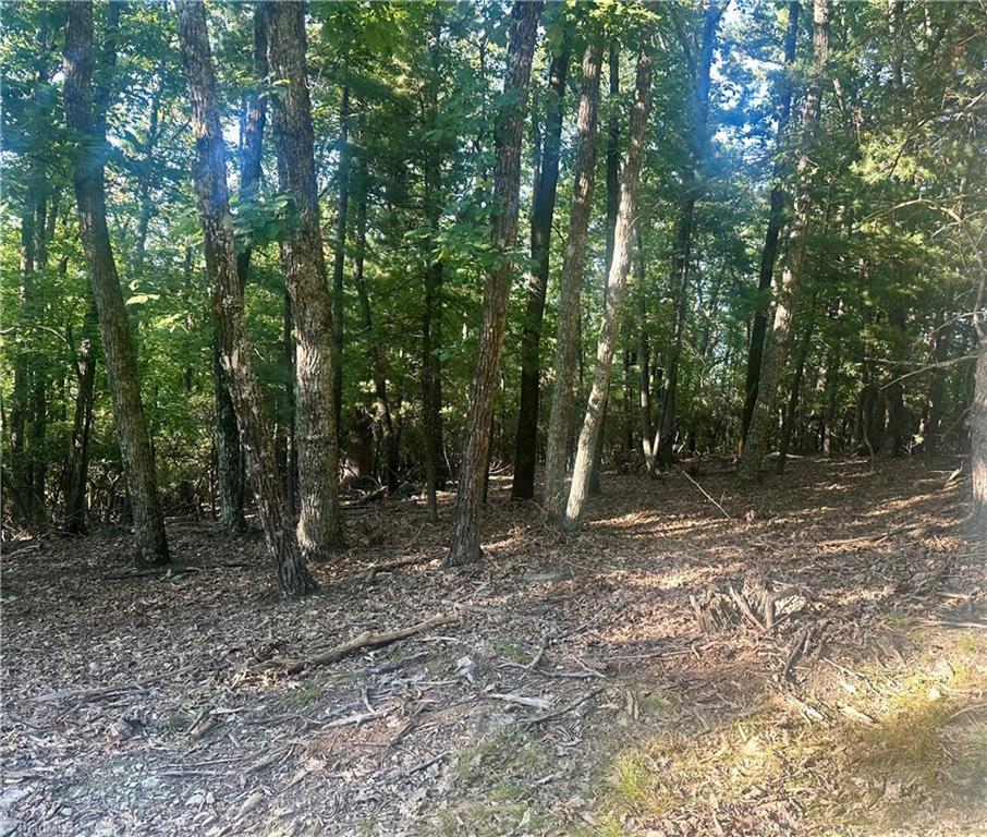 Lot 63 Grandview Circle Property Photo 2