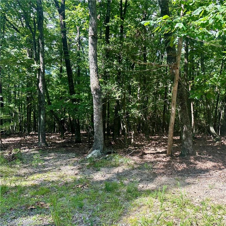 Lot 63 Grandview Circle Property Photo 3