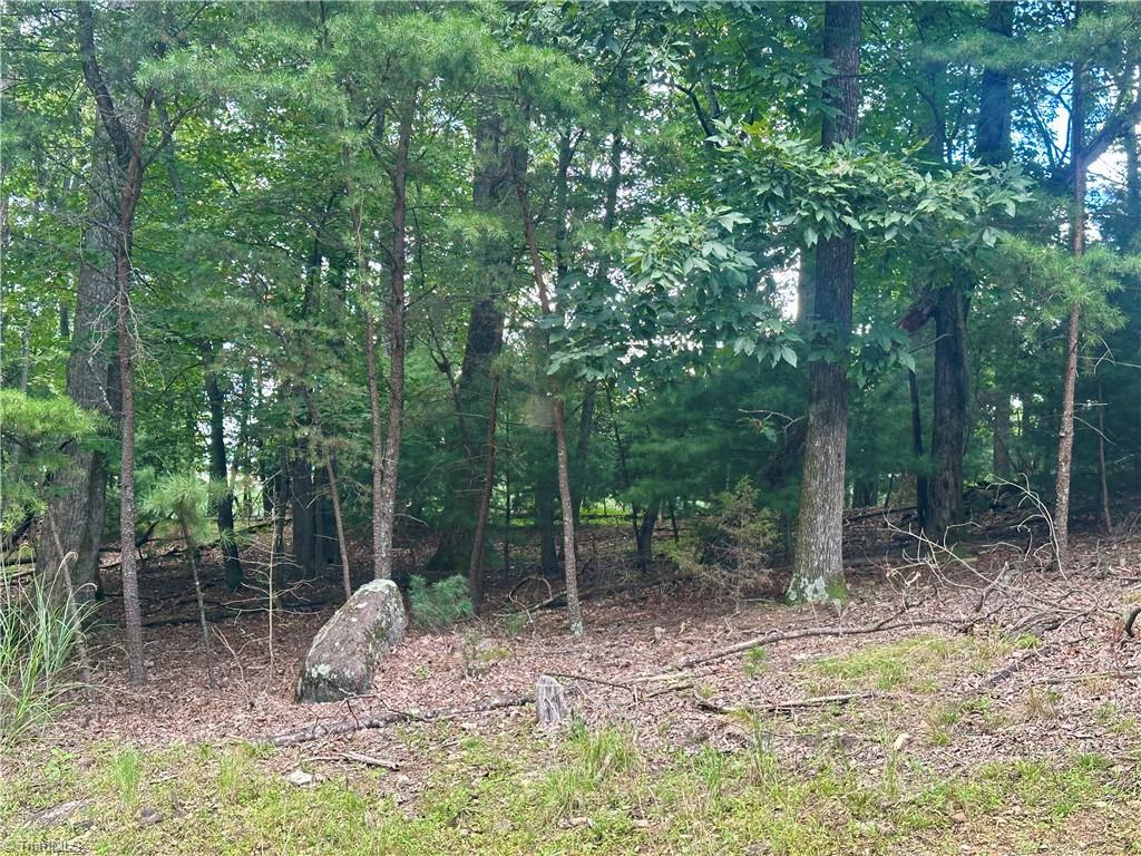 132 View Point Drive Property Photo 3