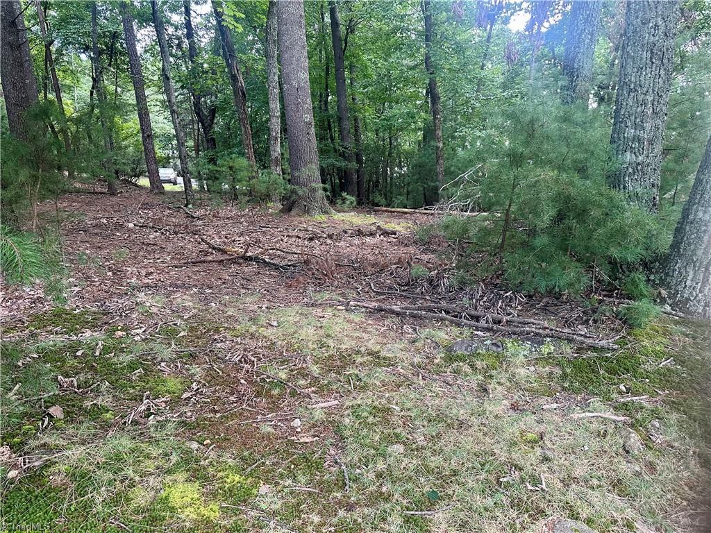 140 View Point Drive Property Photo 4