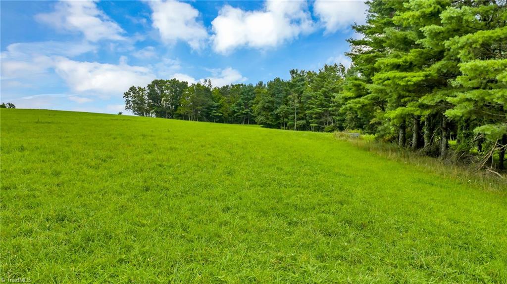 Tbd Murphy Bend Road Property Photo 4