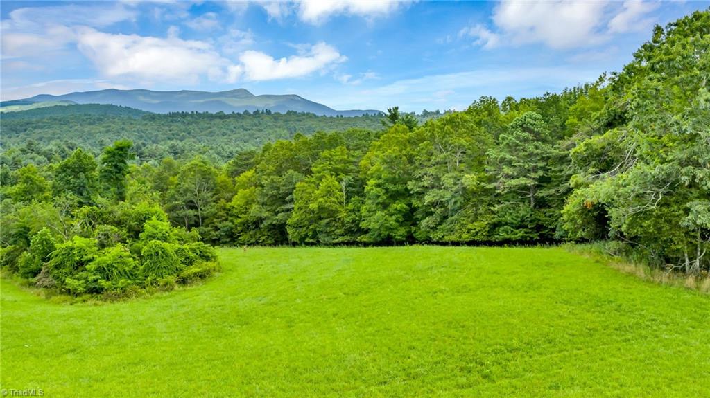 Tbd Murphy Bend Road Property Photo 12