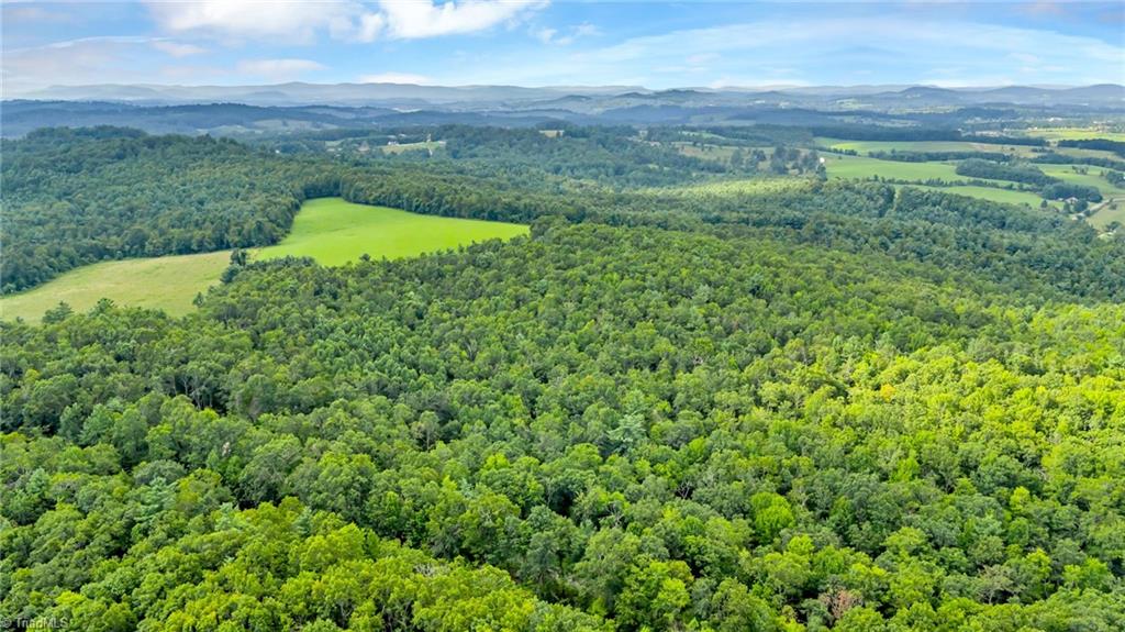Tbd Murphy Bend Road Property Photo 24