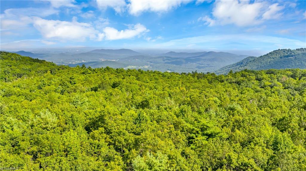 Tbd Murphy Bend Road Property Photo 25