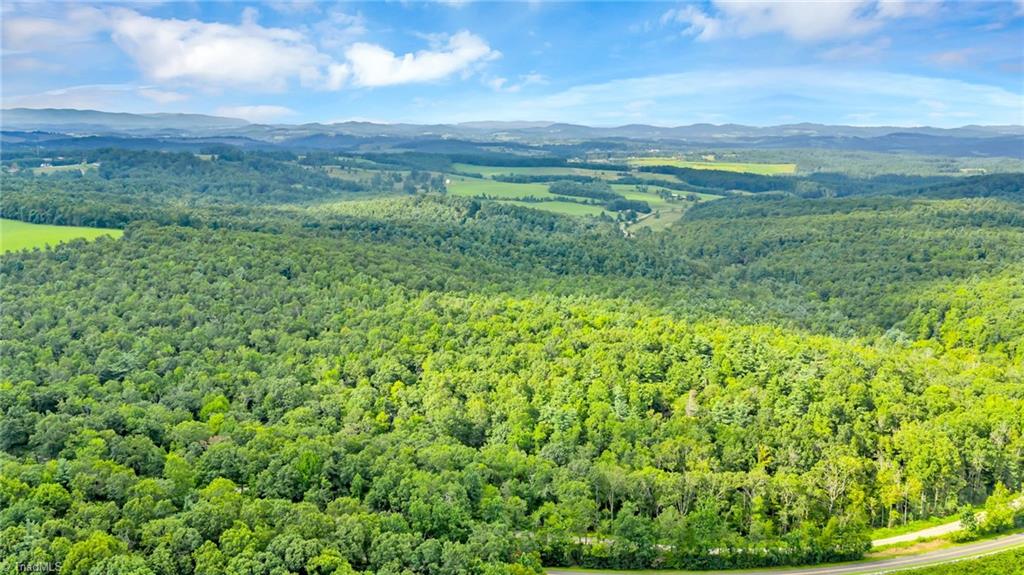 Tbd Murphy Bend Road Property Photo 28