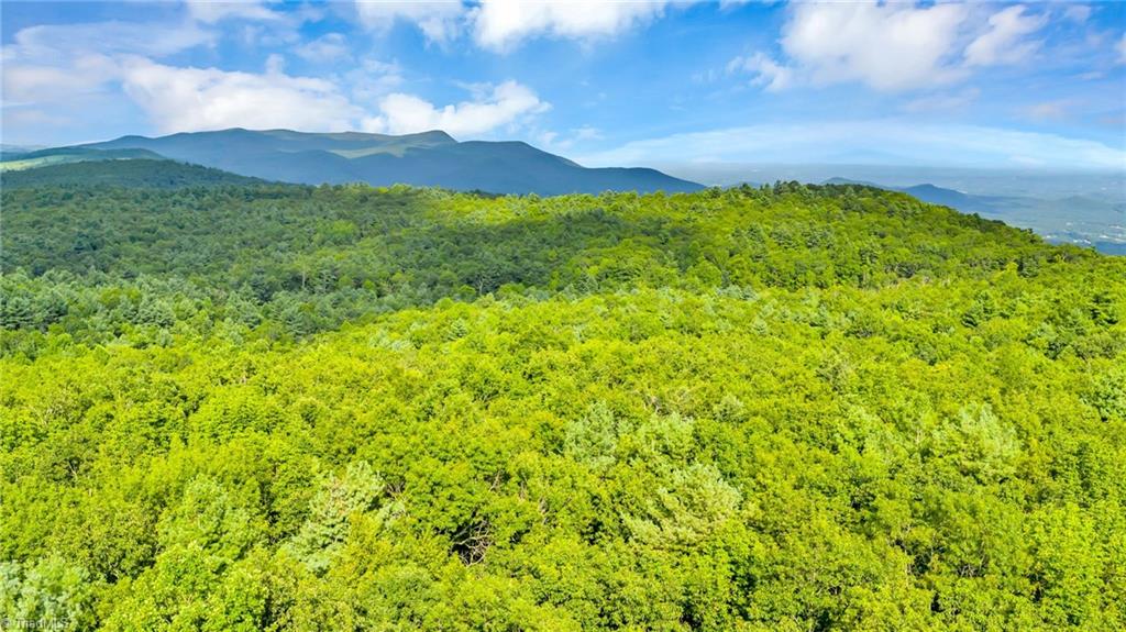 Tbd Murphy Bend Road Property Photo 29