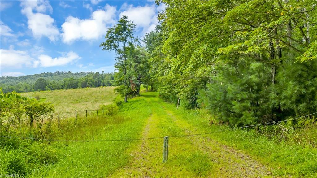 Tbd Murphy Bend Road Property Photo 33