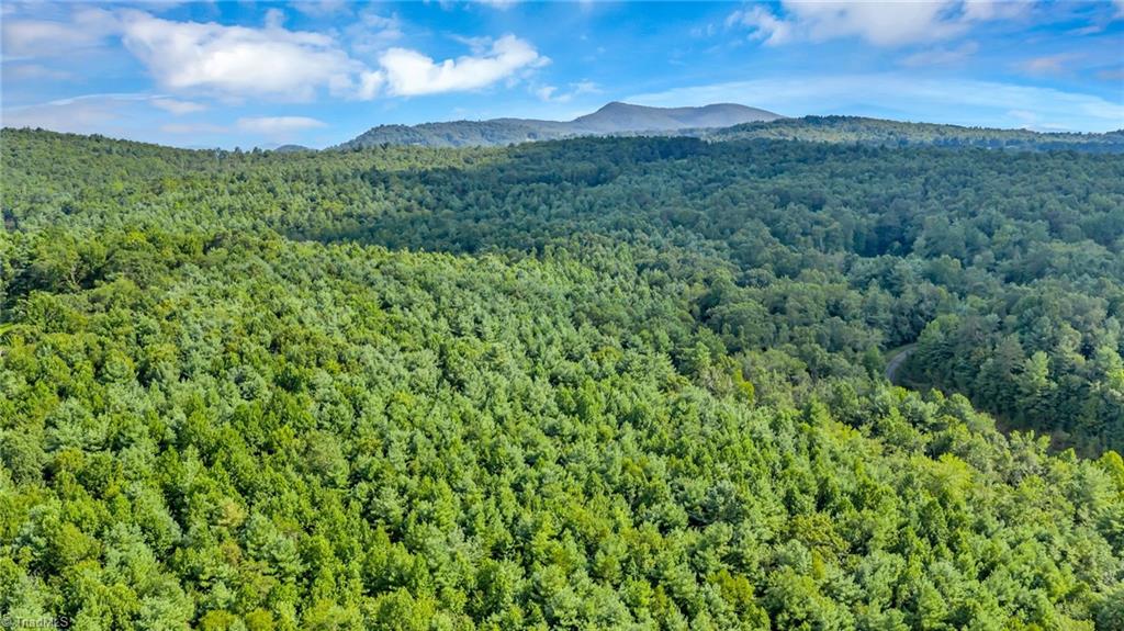 Tbd Murphy Bend Road Property Photo 34
