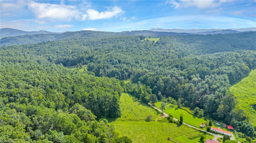 Tbd Murphy Bend Road Property Photo 36