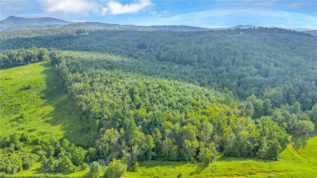 Tbd Murphy Bend Road Property Photo 37