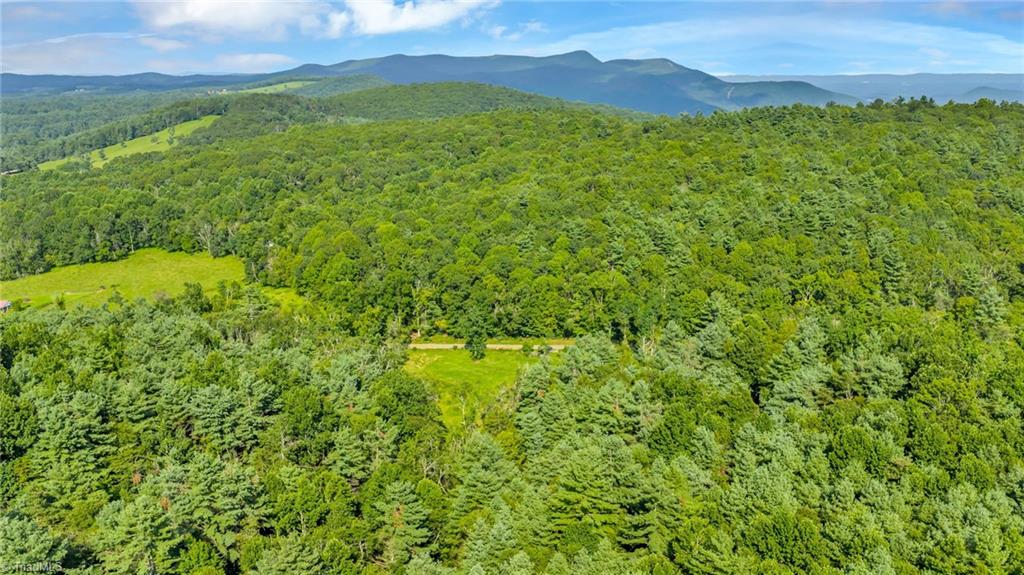Tbd Murphy Bend Road Property Photo 39