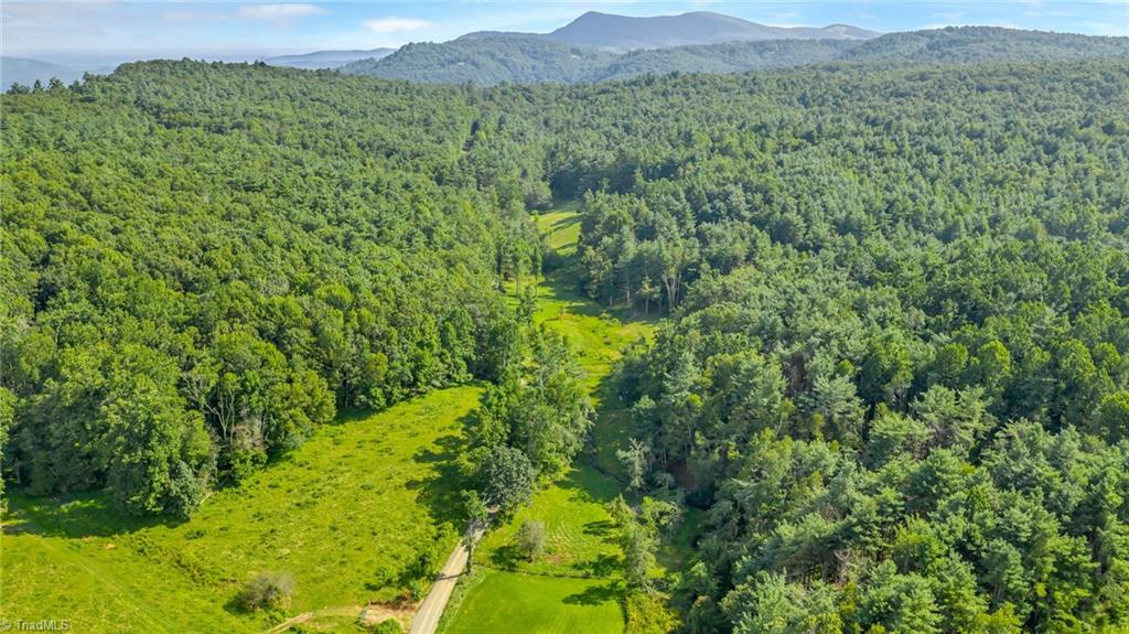 Tbd Murphy Bend Road Property Photo 45