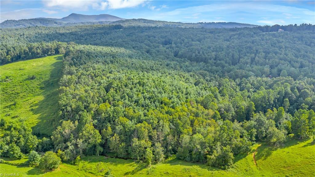 Tbd Murphy Bend Road Property Photo 47