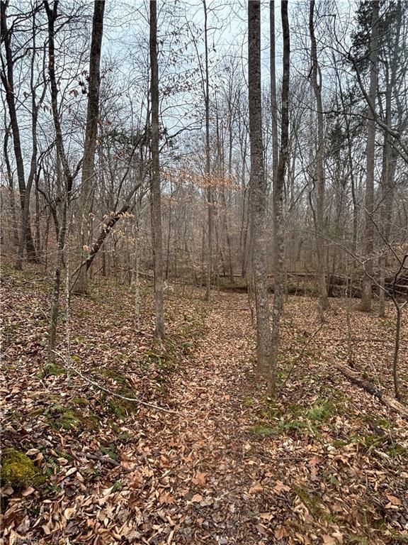 3902 Chucks Court Property Photo 38