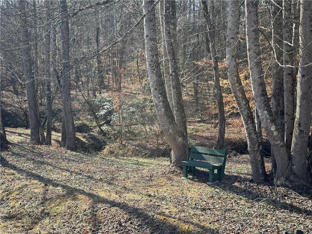 Lot 32 W Meadow Parkway Property Photo 9