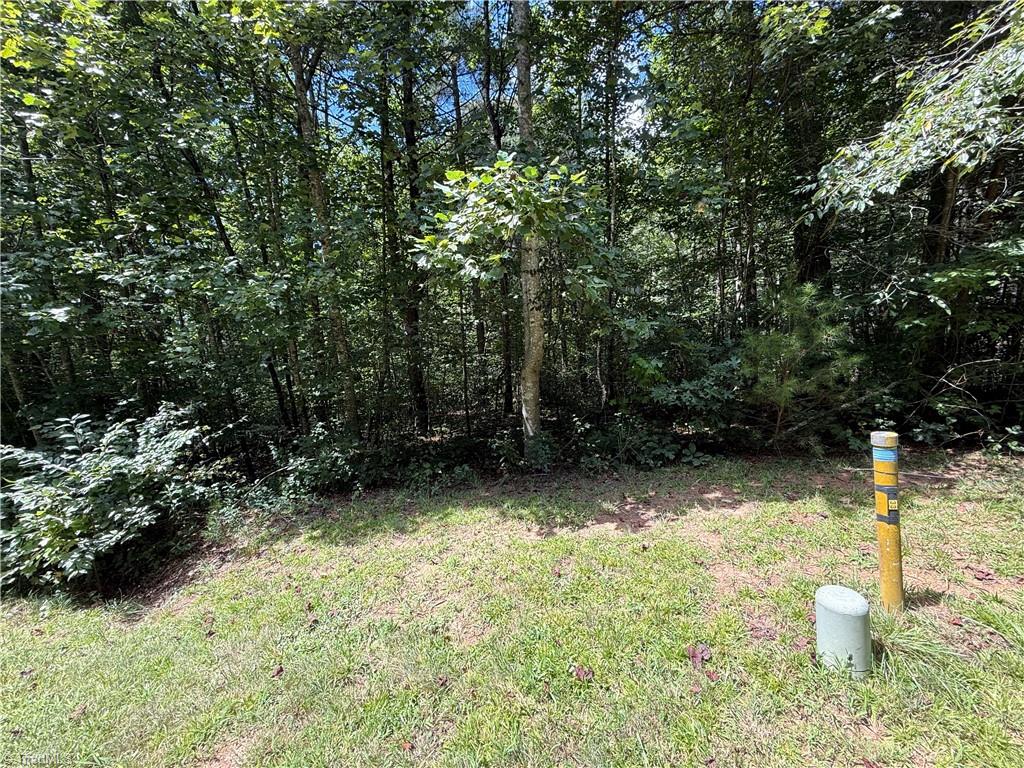 Lot 32 W Meadow Parkway Property Photo 10
