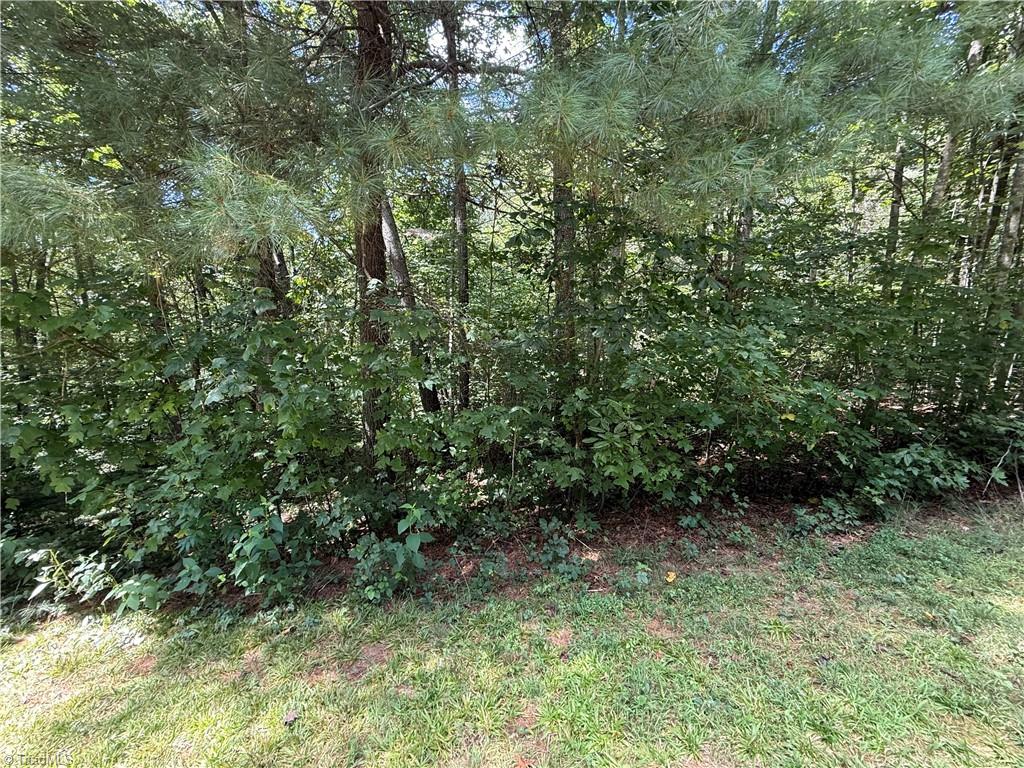 Lot 32 W Meadow Parkway Property Photo 11