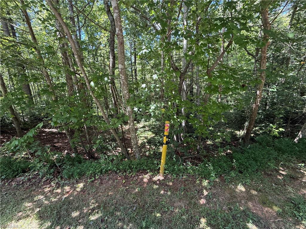 Lot 32 W Meadow Parkway Property Photo 12