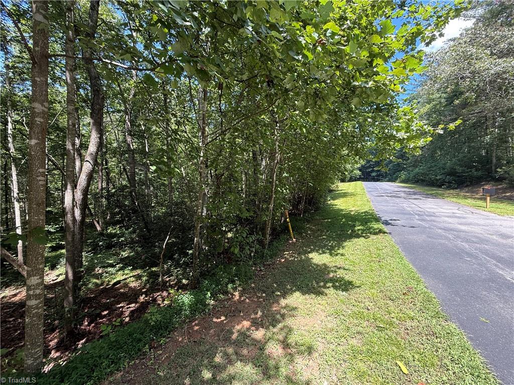 Lot 32 W Meadow Parkway Property Photo 13
