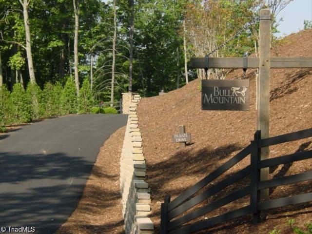 43 Chestnut Falls Drive Property Photo 1