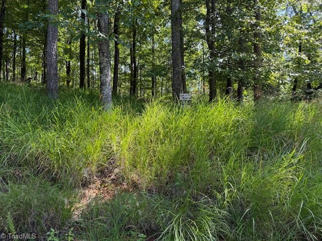 33 Ashe View Drive Property Photo 5