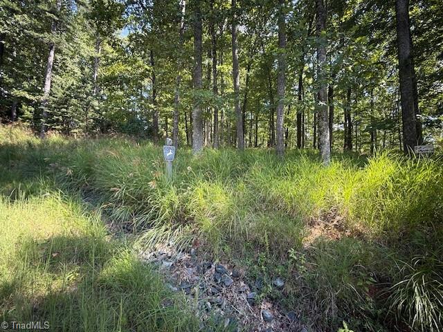 33 Ashe View Drive Property Photo 7