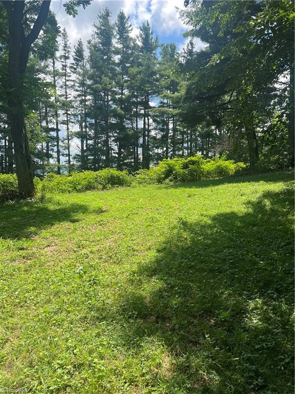 000 Whitaker Branch Road Property Photo 1