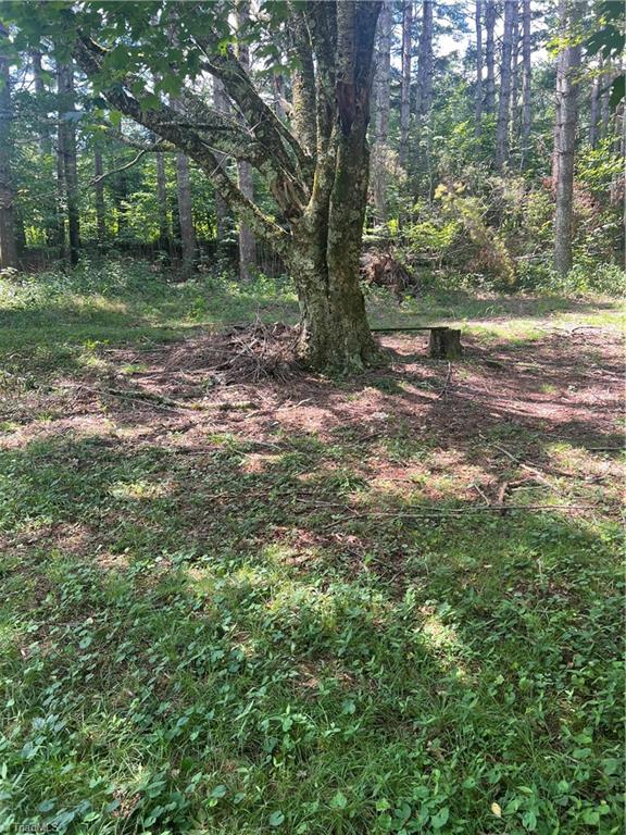 000 Whitaker Branch Road Property Photo 2