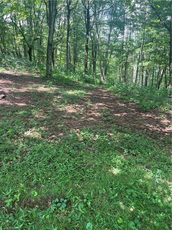 000 Whitaker Branch Road Property Photo 3