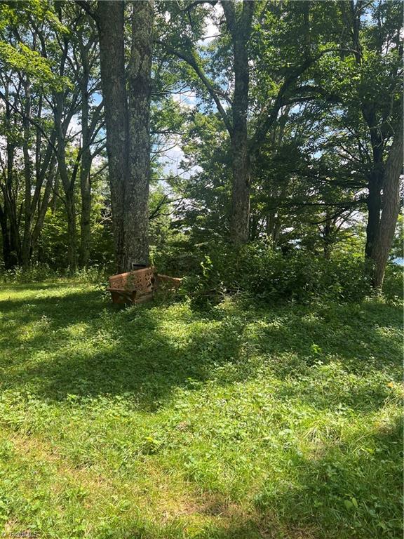 000 Whitaker Branch Road Property Photo 4