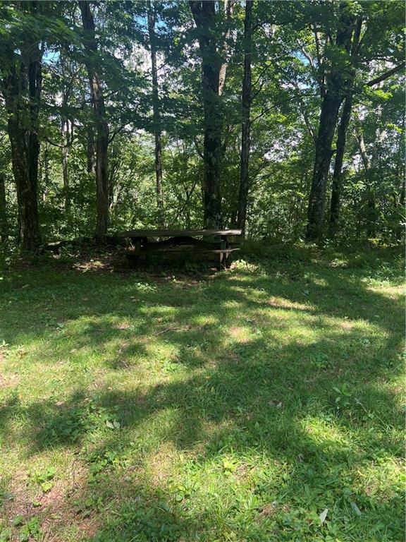 000 Whitaker Branch Road Property Photo 5